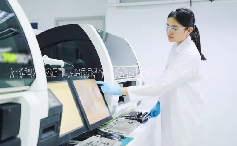 龙八国际app官方下载