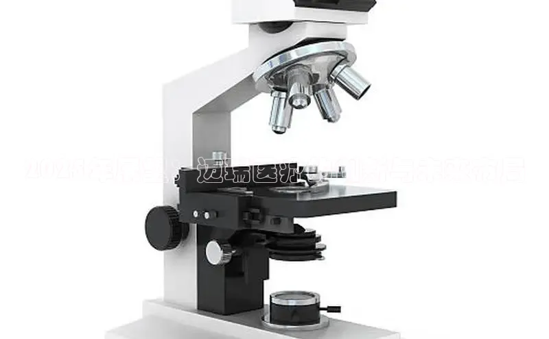 龙八国际app官方下载